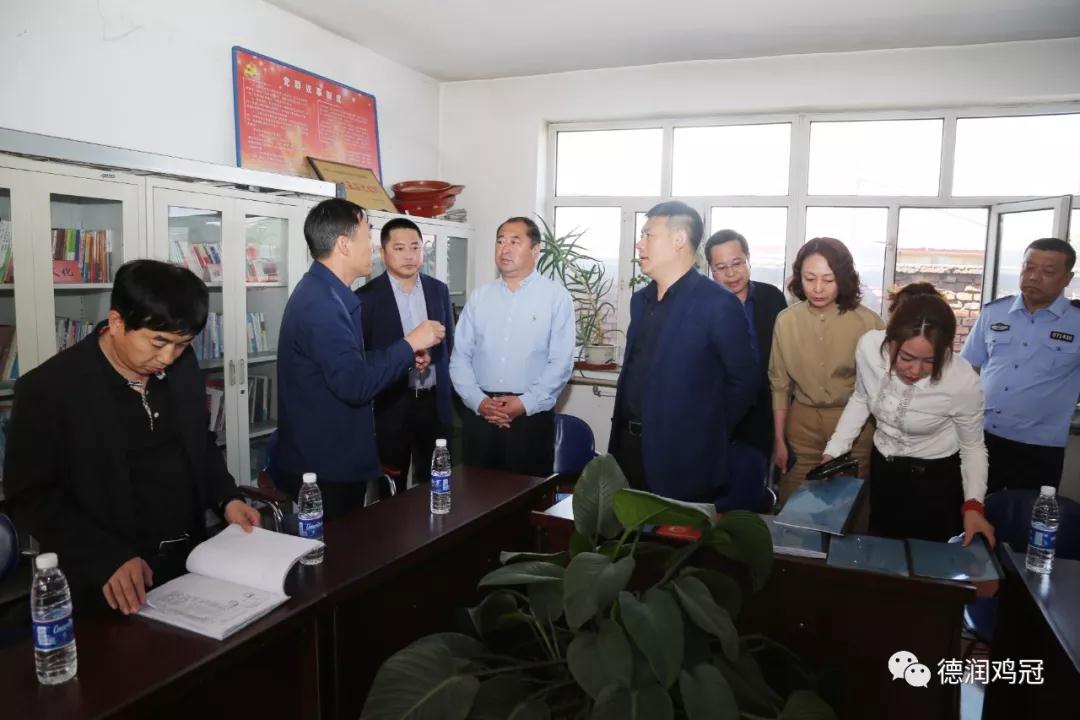 鸡冠区区委书记齐明达到西郊乡督导检查扫黑除恶专项斗争工作