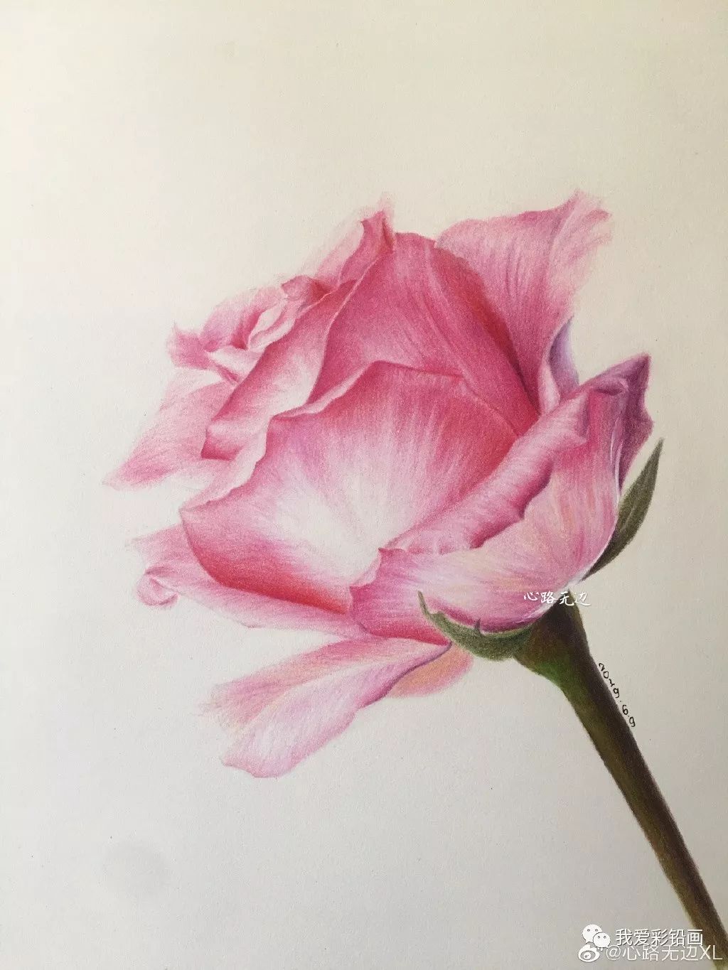 手绘粉玫瑰一朵人生淡然如花行走一路芬芳