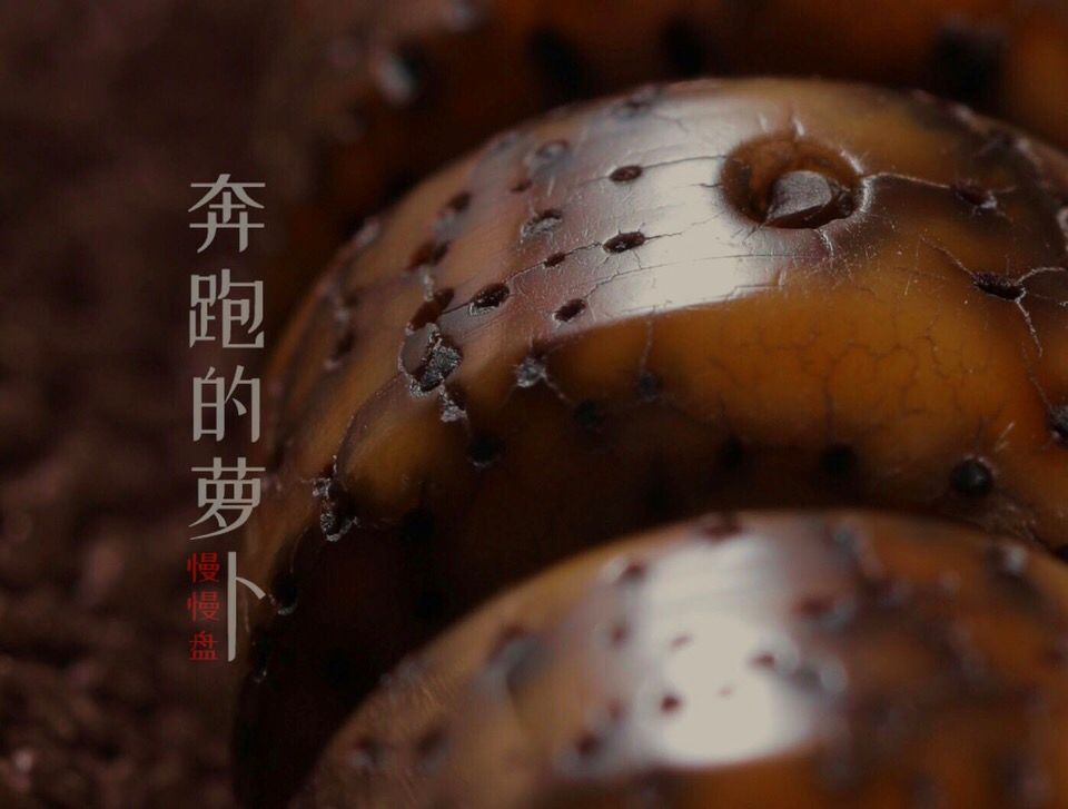 橄榄核不管是核雕还是原皮不管雕工是名家还是无名之辈包浆跟这些真得