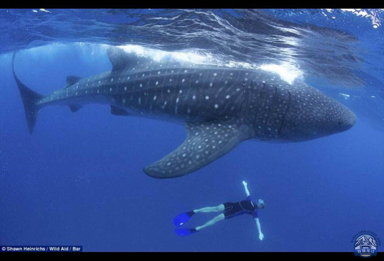 龙江旅游小记者李沐阳 我的不一样的六一