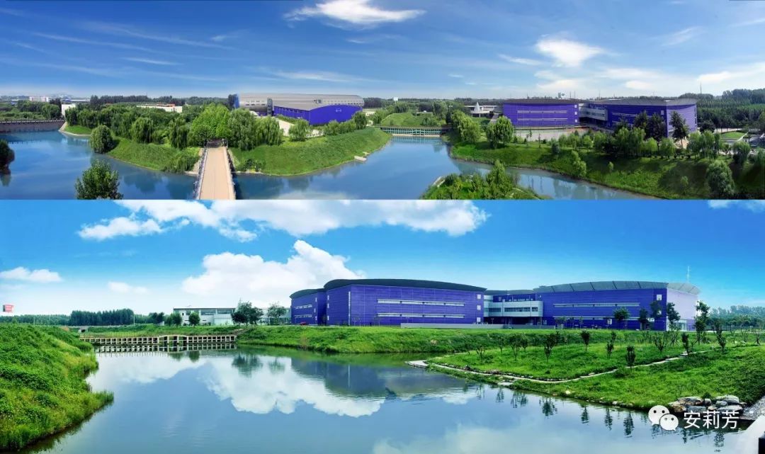 绿色安莉芳就是这样的内衣穿得才让人放心呀