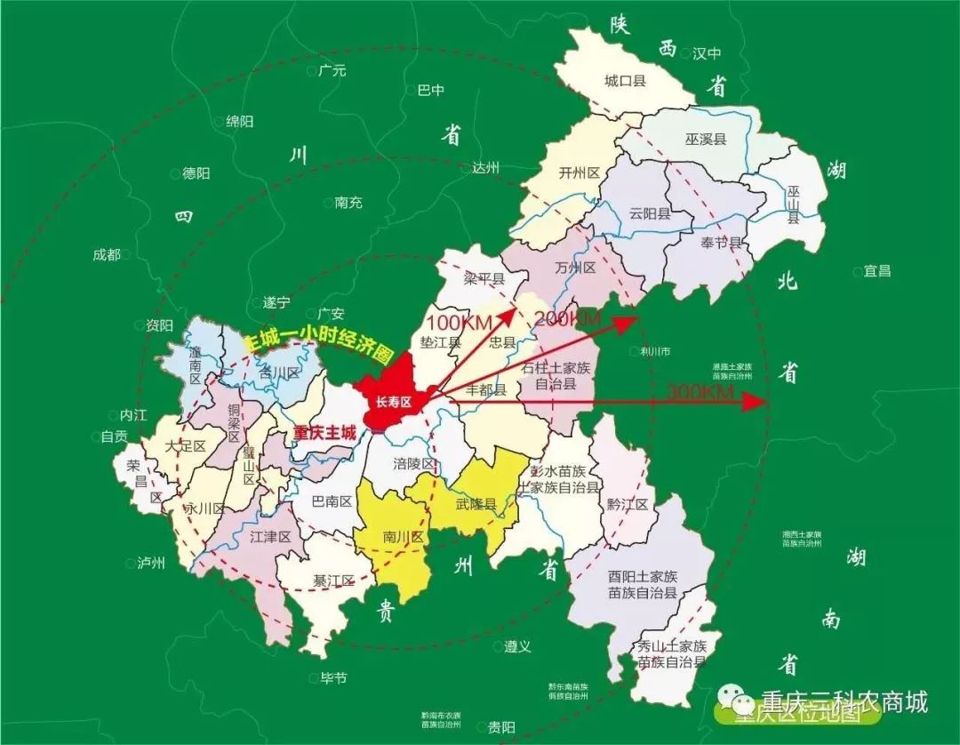 全城瞩目位于长寿的东部国际农产品交易中心招商营销中心正式开放