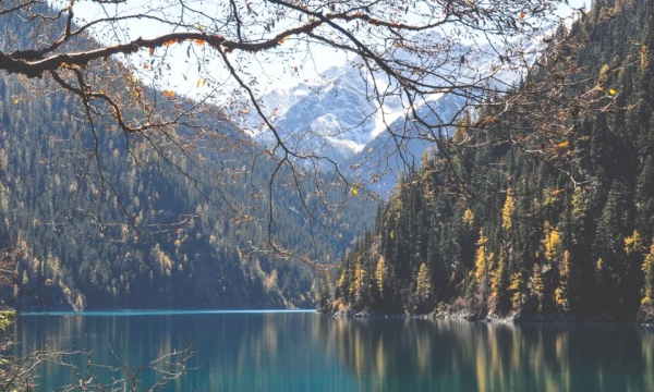 透过渠道的生与死和用户的动与静，洞察家电业的兴与衰！-家电圈官网