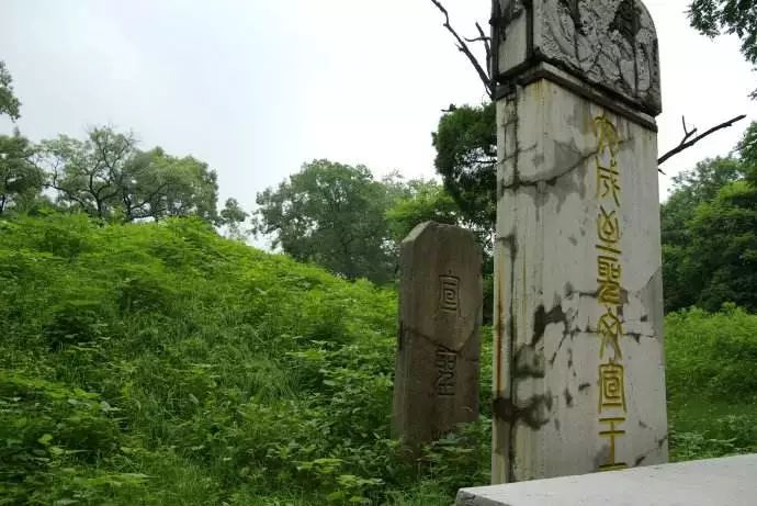 长河天人之学04大成至圣文宣王墓