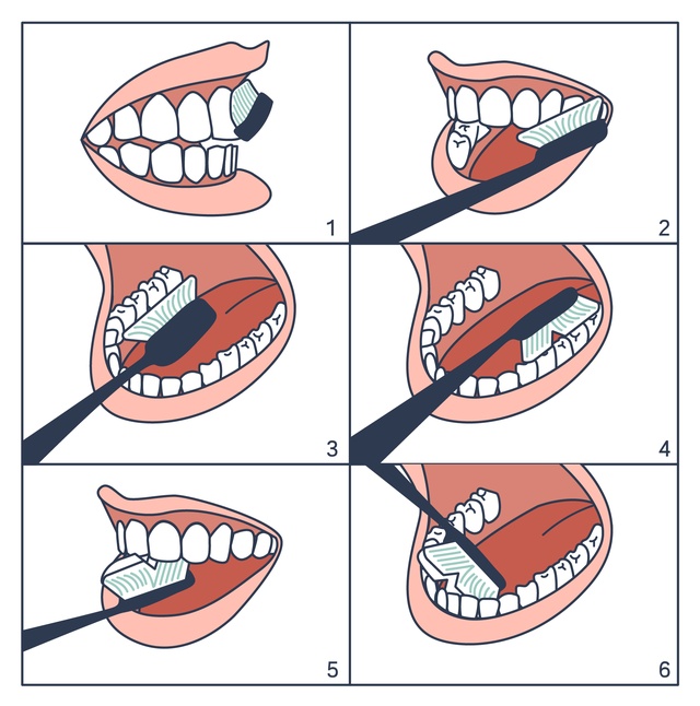 百诺恩儿童牙刷好吗宝宝多大可以刷牙百诺恩育儿什么牌子牙刷好