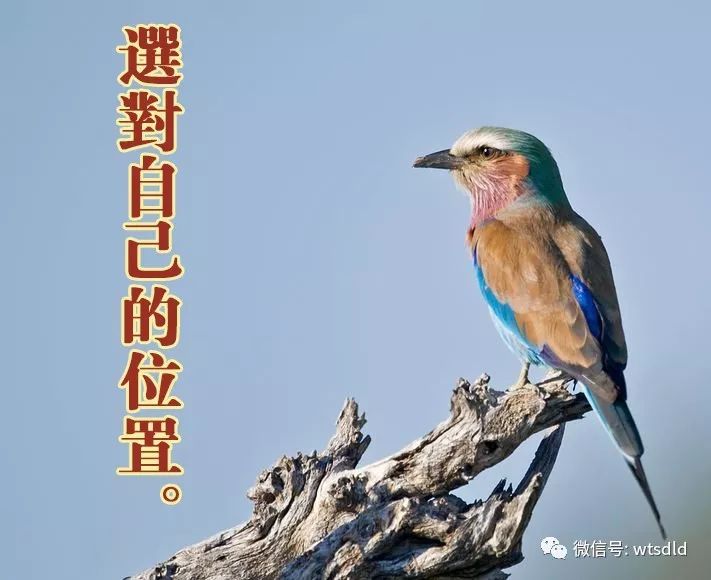 放下屠刀立地成佛的典故