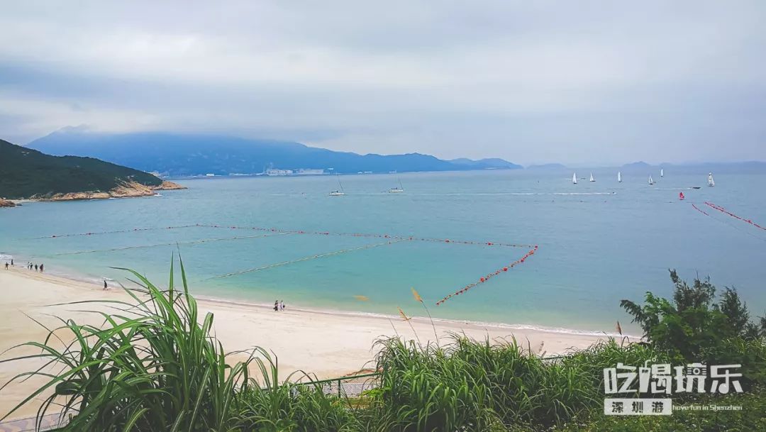 深圳这片避世海滩免费了!灯塔,椰林…承包你整个夏天!_沙滩
