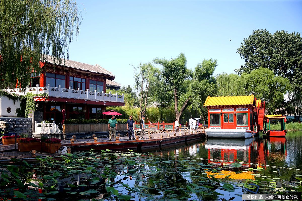 北京圖見什剎海西海溼地公園的初夏詩意