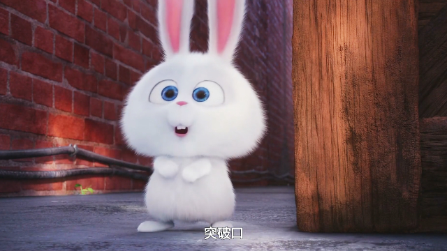 爱宠大机密兔子又有坏主意一双大眼真的好萌呀