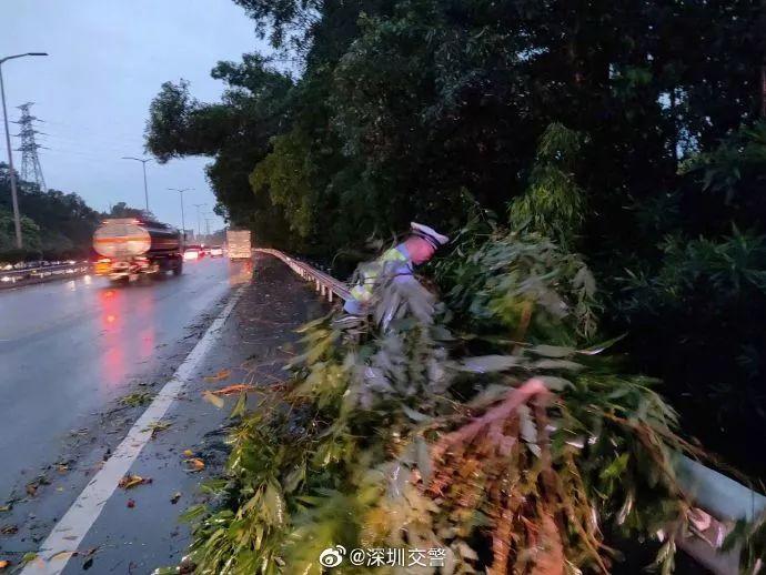 特大暴雨,深圳11级大风,广东多地水浸,但强降水还要下5天_大雨