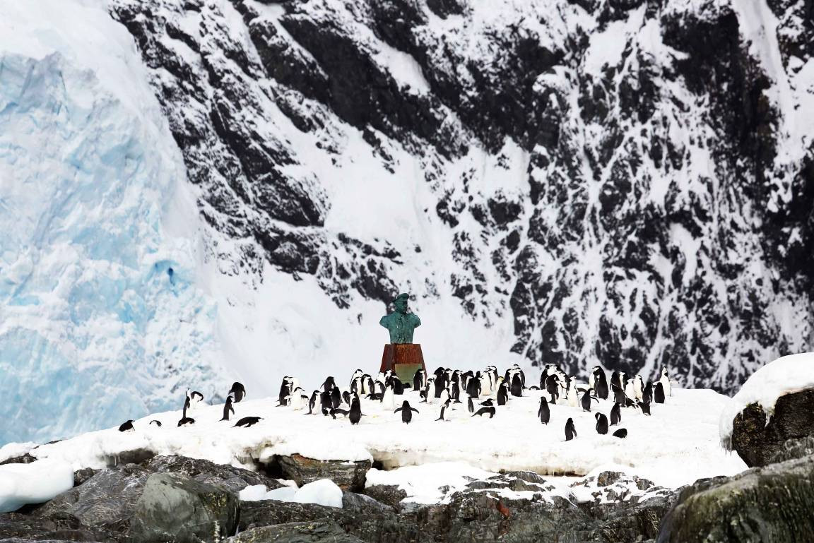 伟大的失败,沙克尔顿的挣扎_南极