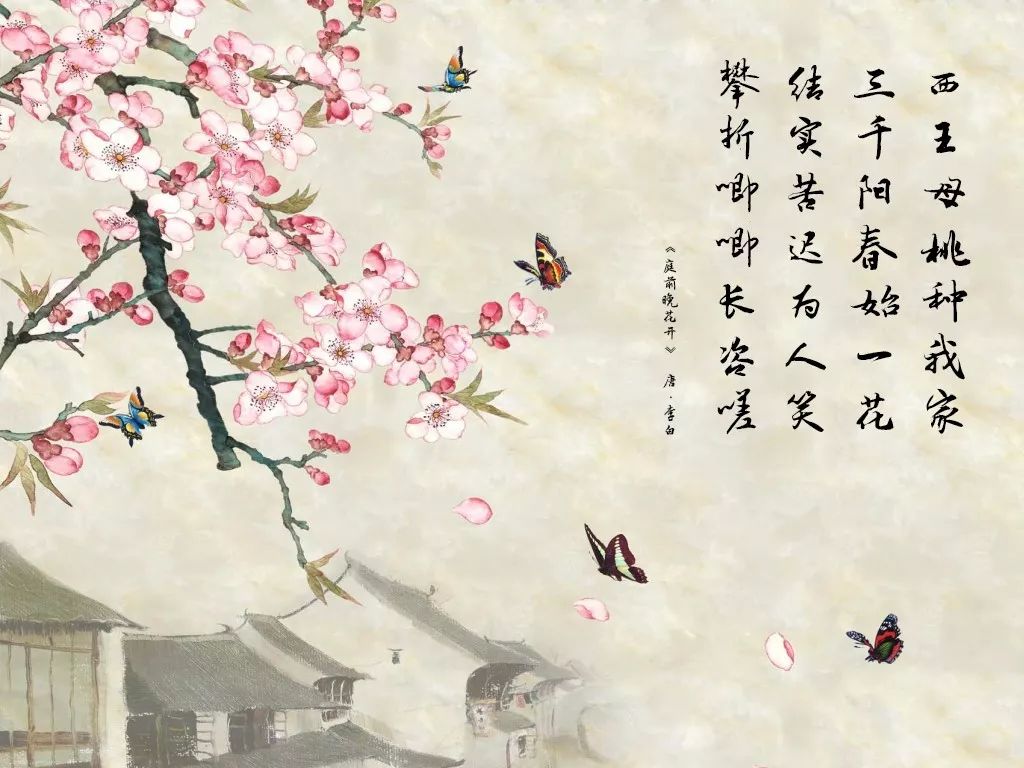 随着李白的一首《庭前晚花开》又到了桃子成熟的季节果皮光滑发亮肉质