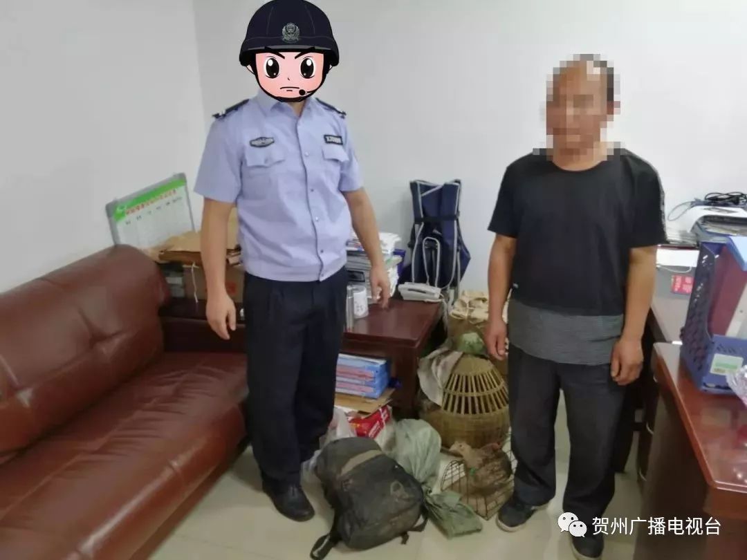 贺州一男子捕猎山鸡,被民警抓了个现行!