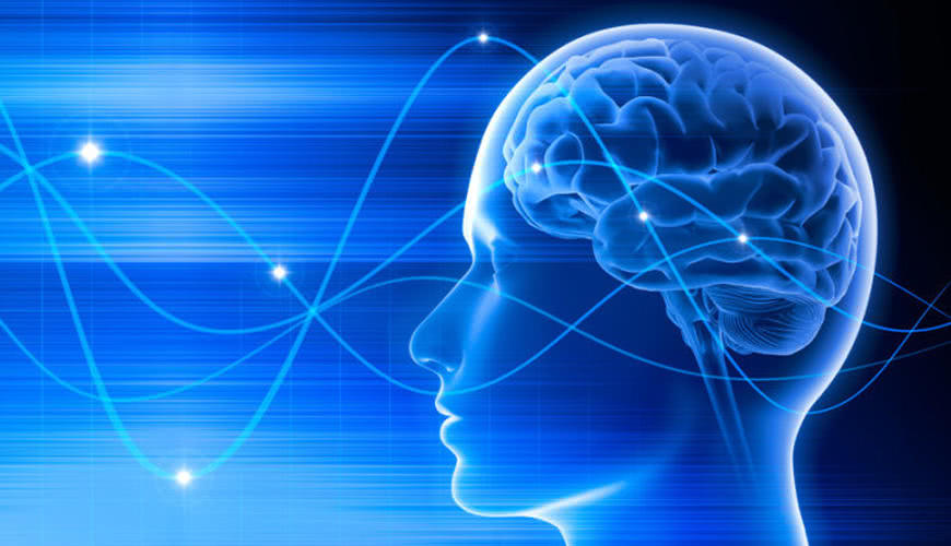 为什么智商高的人在思考问题时,大脑活动量反而比一般人要低?