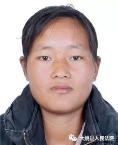 6陆建宏7陆航8王丽萍9金海平10马明贵11金会琼元谋法院失信被执行人