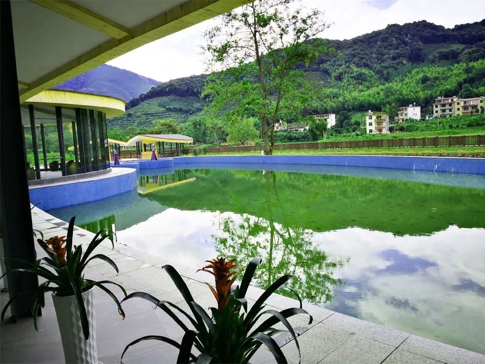 生态赣州走进阳明氧生谷感受大自然的气息崇义