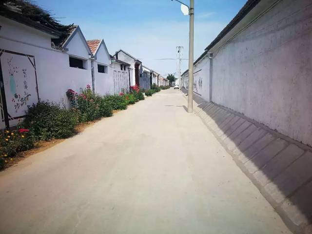 实现"户户通"村庄景象返回搜狐,查看更多