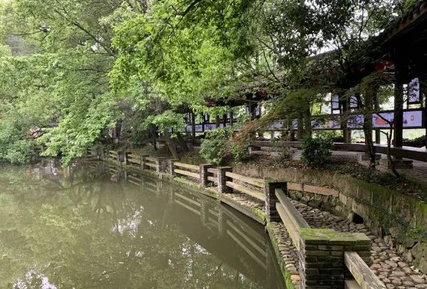 优秀永康这45个村被省里点名表扬看看有你家吗