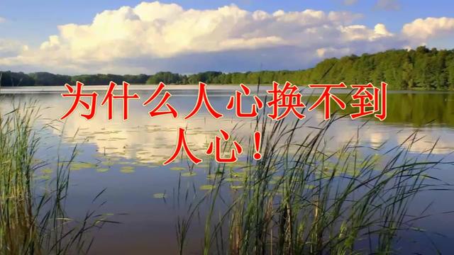 为什么人心换不到人心这就是答案句句入骨