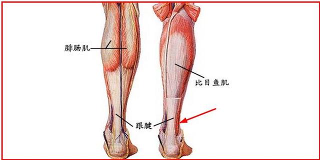 跟腱断裂属于几级伤残图片