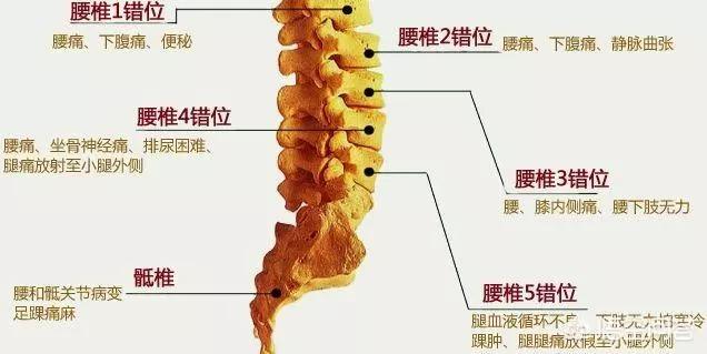 十人中有九人腰椎颈椎不好的人,职业病正在吞噬着新一代​年轻人...