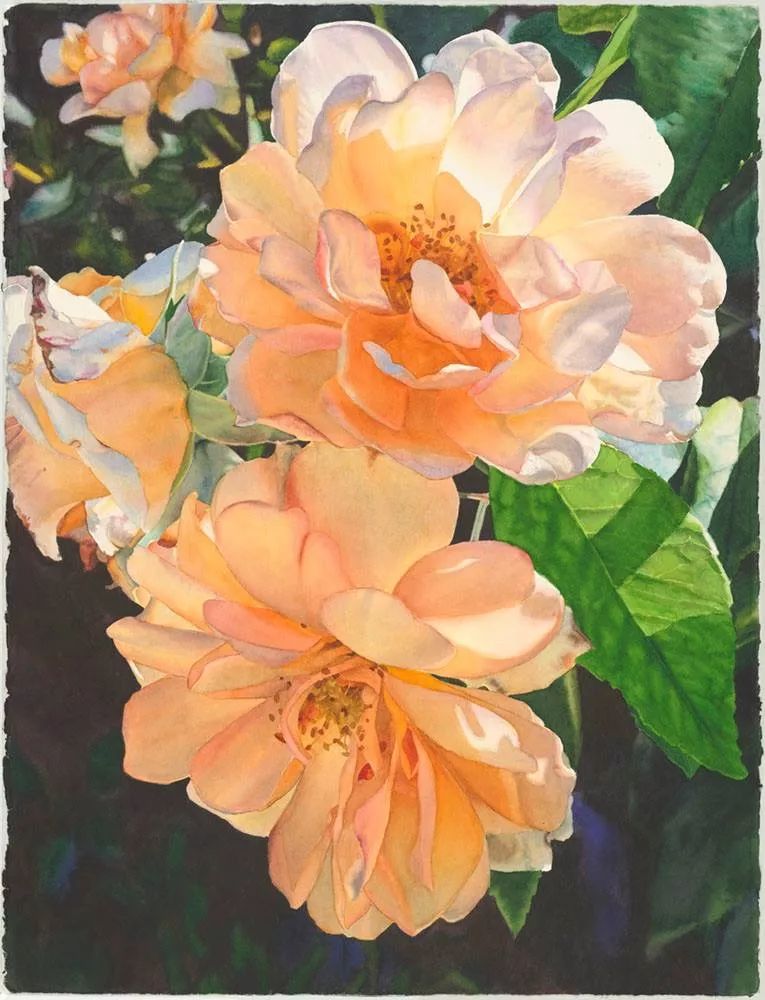 晶莹剔透的水彩花卉作品隔着屏幕都能闻到香甜