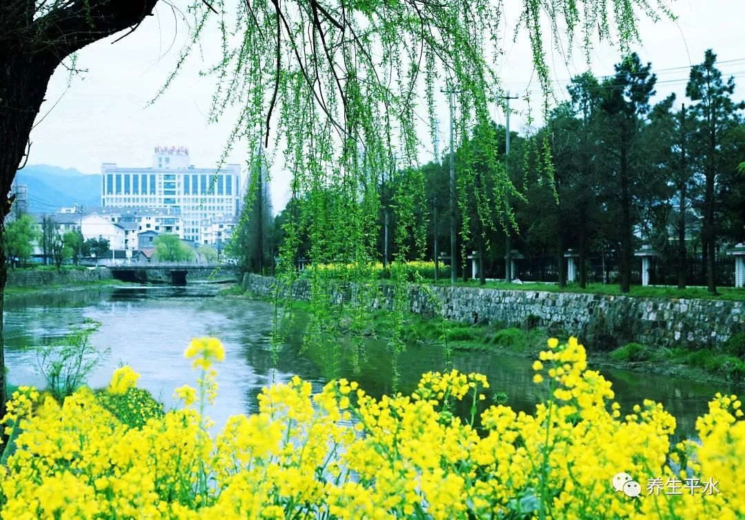 平水镇成为电影拍摄基地目的地又一部电影花旦忆举行