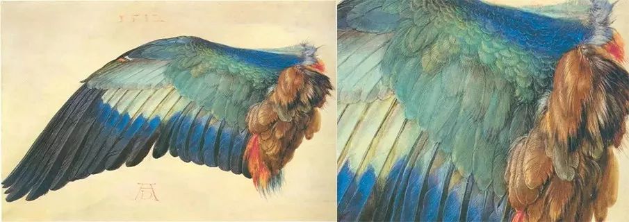 被误解的丢勒不是每一个男性的油腻都叫自恋