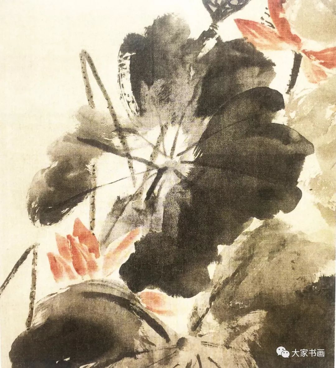 吕纪 残荷鹰鹭图(局部)▲明 陈嘉言 荷花白鹭图(局部)▲清 虚谷 花卉