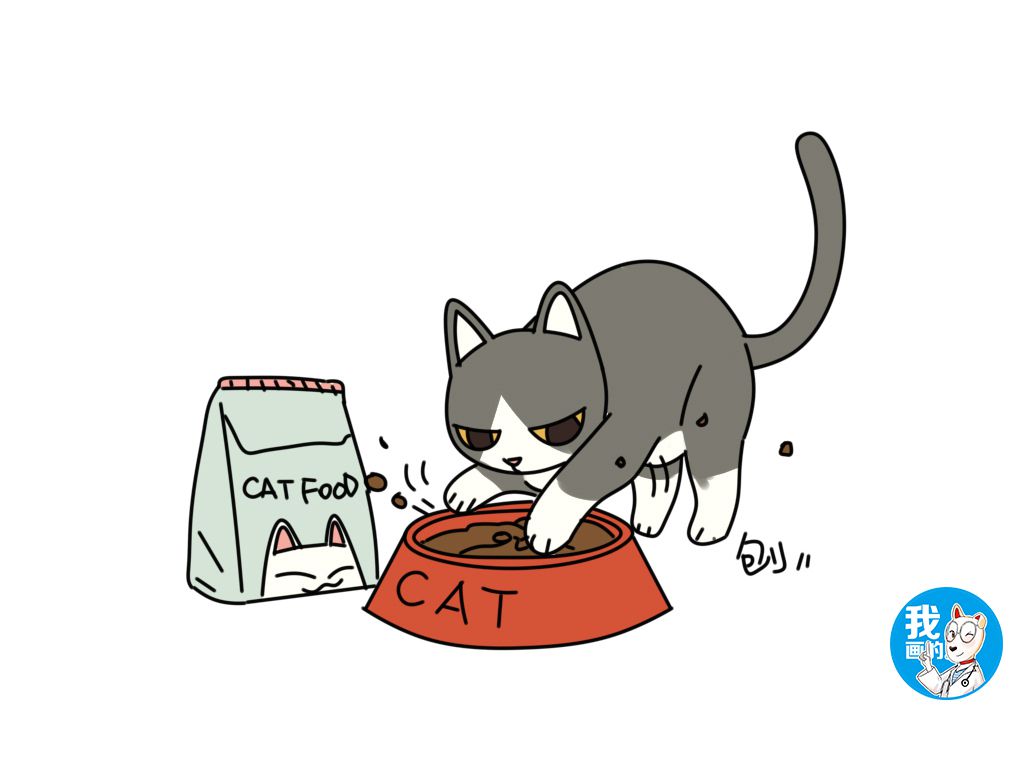 猫主子莫名埋起了猫粮,是我眼睛坏了,还是它脑子出问题了?