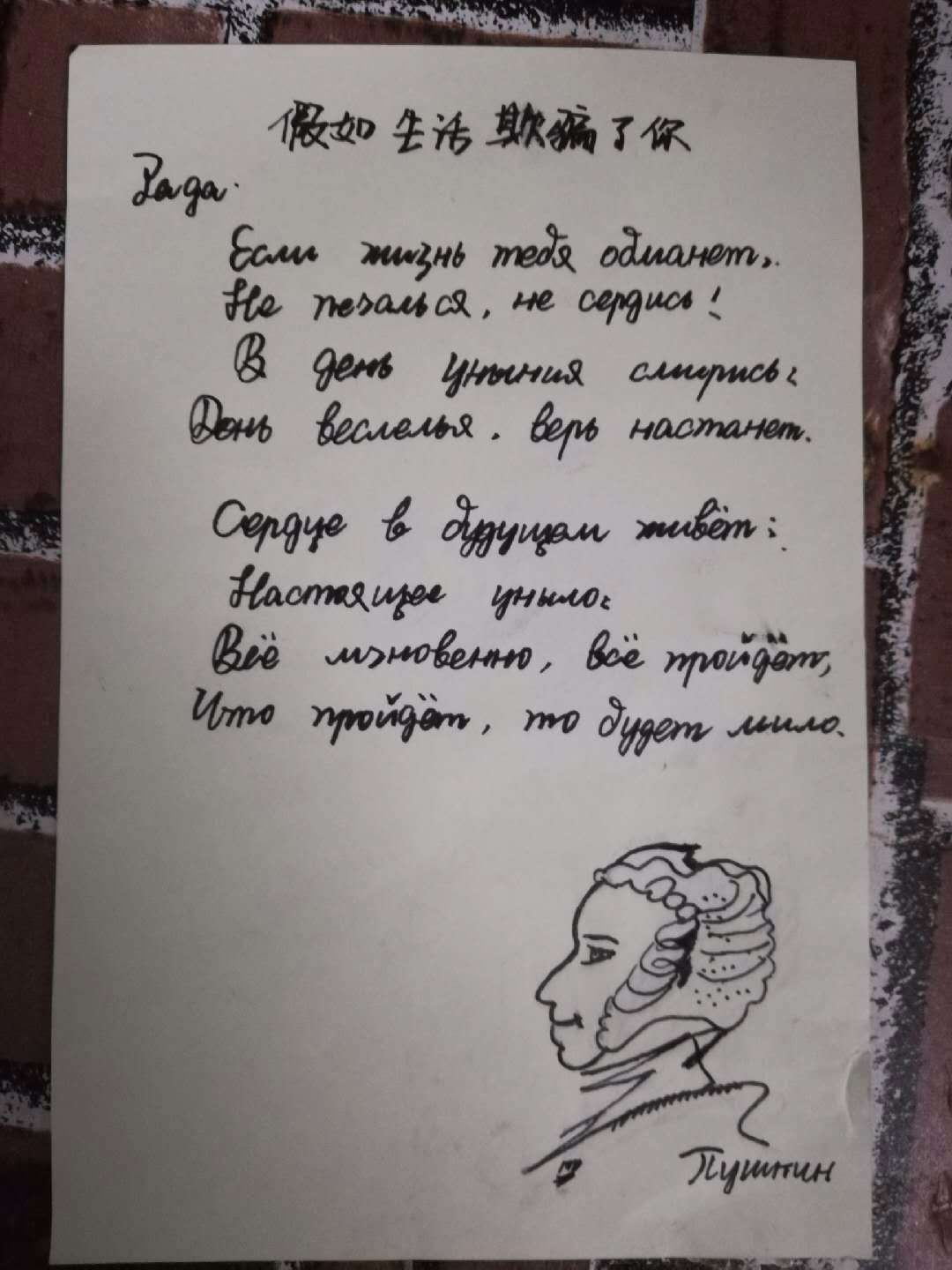 "普希金诗歌"俄语书法大赛投票(第一组)_作品