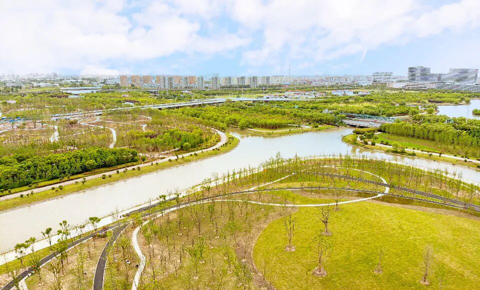 追梦忆初心不一样的楔形绿地不简单的增绿造林