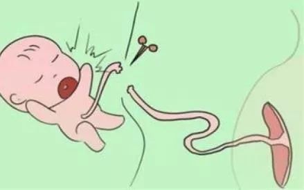 破伤风梭状杆菌(clostridium tetani)为革兰染色阳性,梭状,厌氧菌.