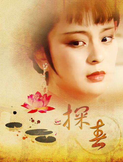 探春一个如玫瑰花般明艳的女子却难掩背后的伤痛