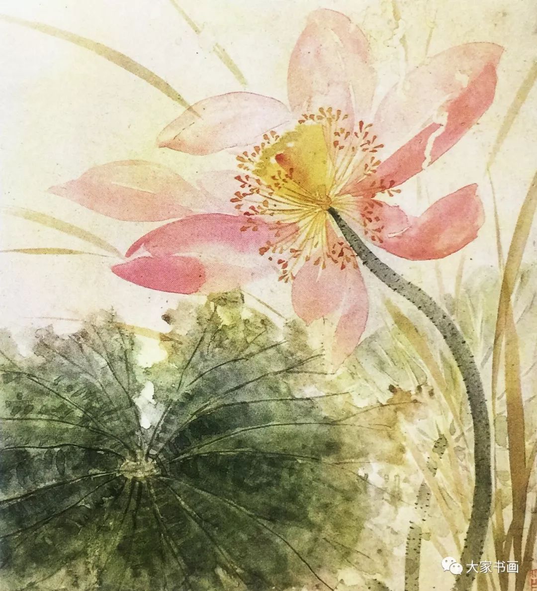 荷花(意笔)基础画法_局部