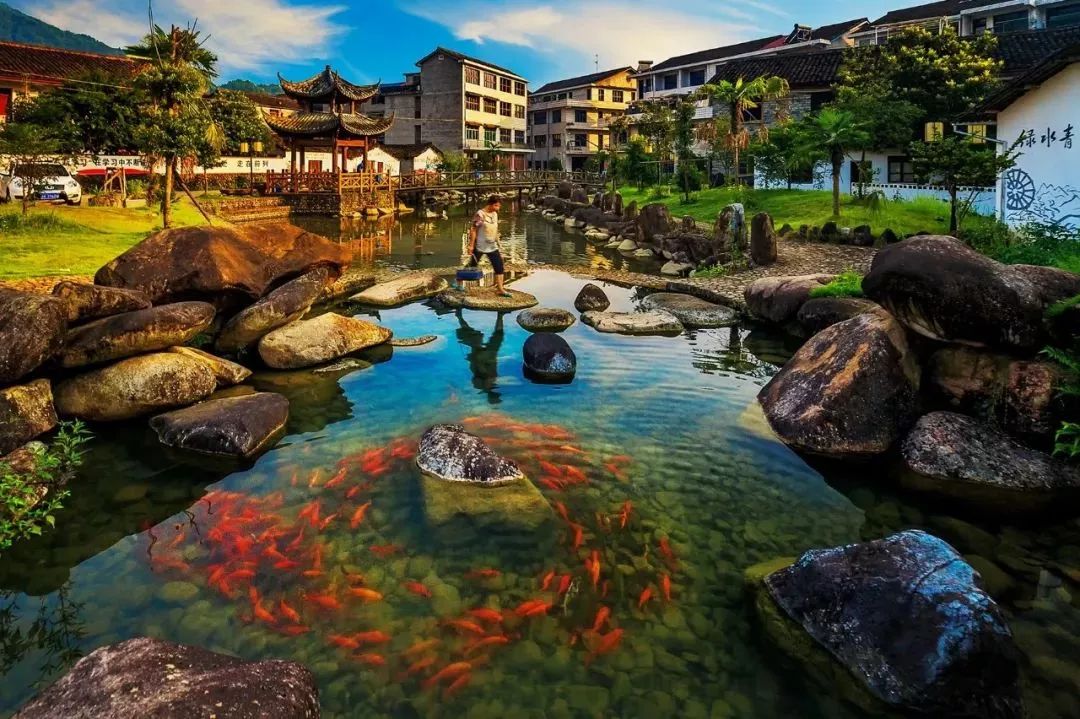 溪头村村支书曾志华,荣获第二届"中国生态文明奖先进个人"!