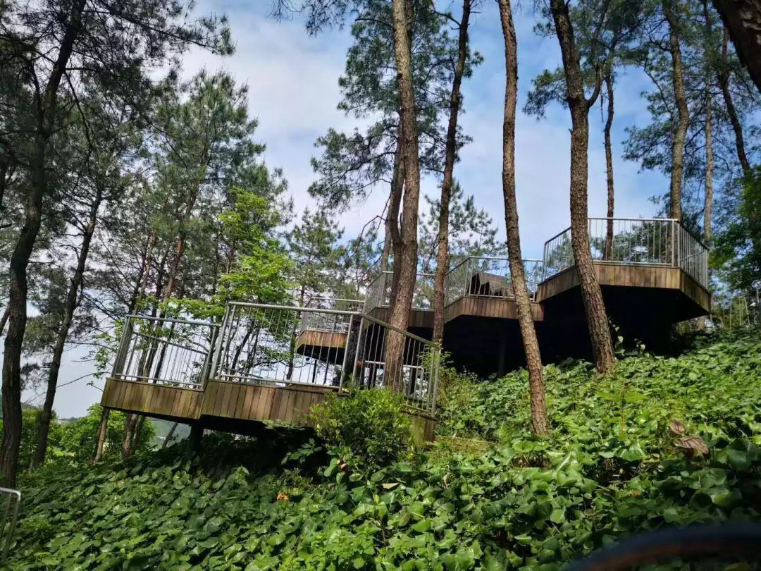 营地设在安吉桃花源鲸奇谷.先来看看营地的环境.