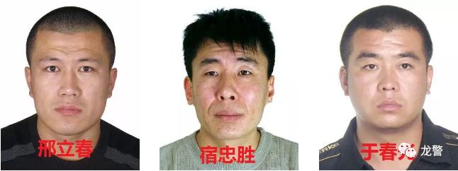 【扫黑除恶】关于公开征集牡丹江东宁市高波,谢枭涉黑涉恶犯罪团伙