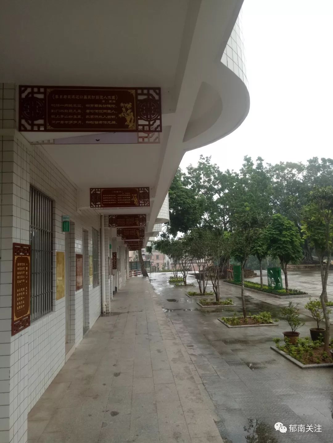 千官中学七九之歌勾起我们满满的回忆