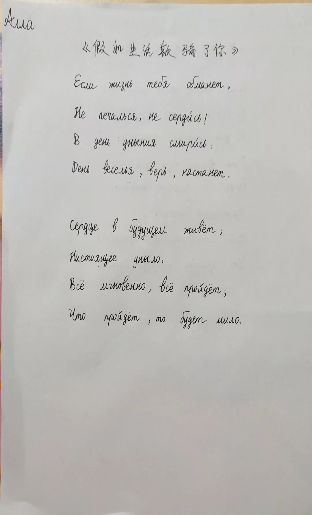 普希金诗歌俄语书法大赛投票第三组