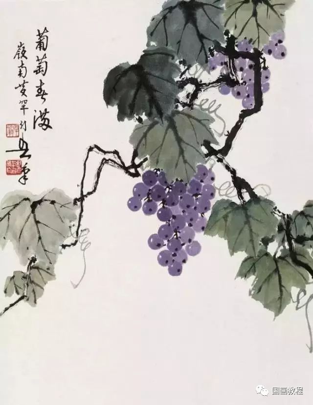 这国画葡萄纯洁无瑕处处散发着生机与活力