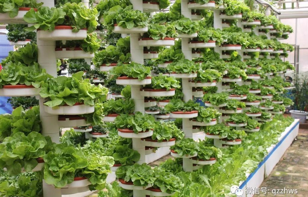 现代农业之立体种植那些事