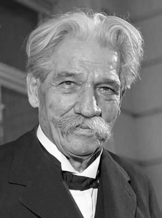 阿尔贝特·施韦泽(albert schweitzer