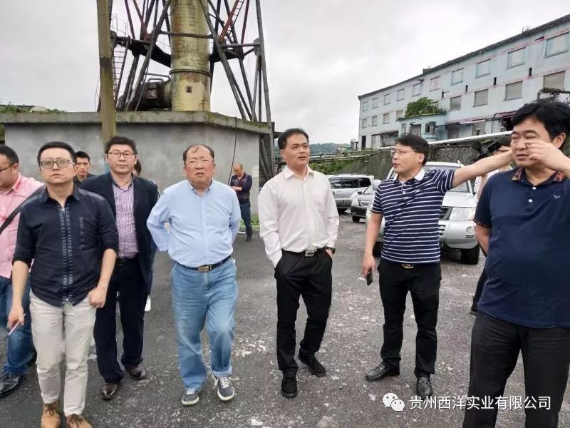 貴州西洋實業有限公司,貴州合力化工公司,貴州開磷氟硅化工有限責任