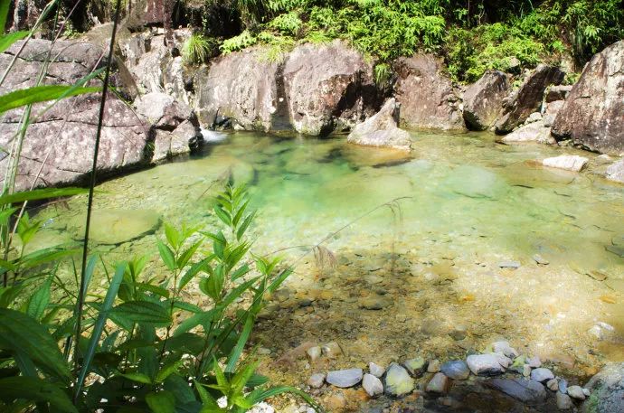 新景点新玩法瑞安龙井风景区