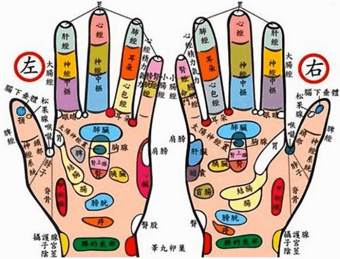 根据中医经络学说,人的五指间各有经穴,而且分别与内脏有密切的关系