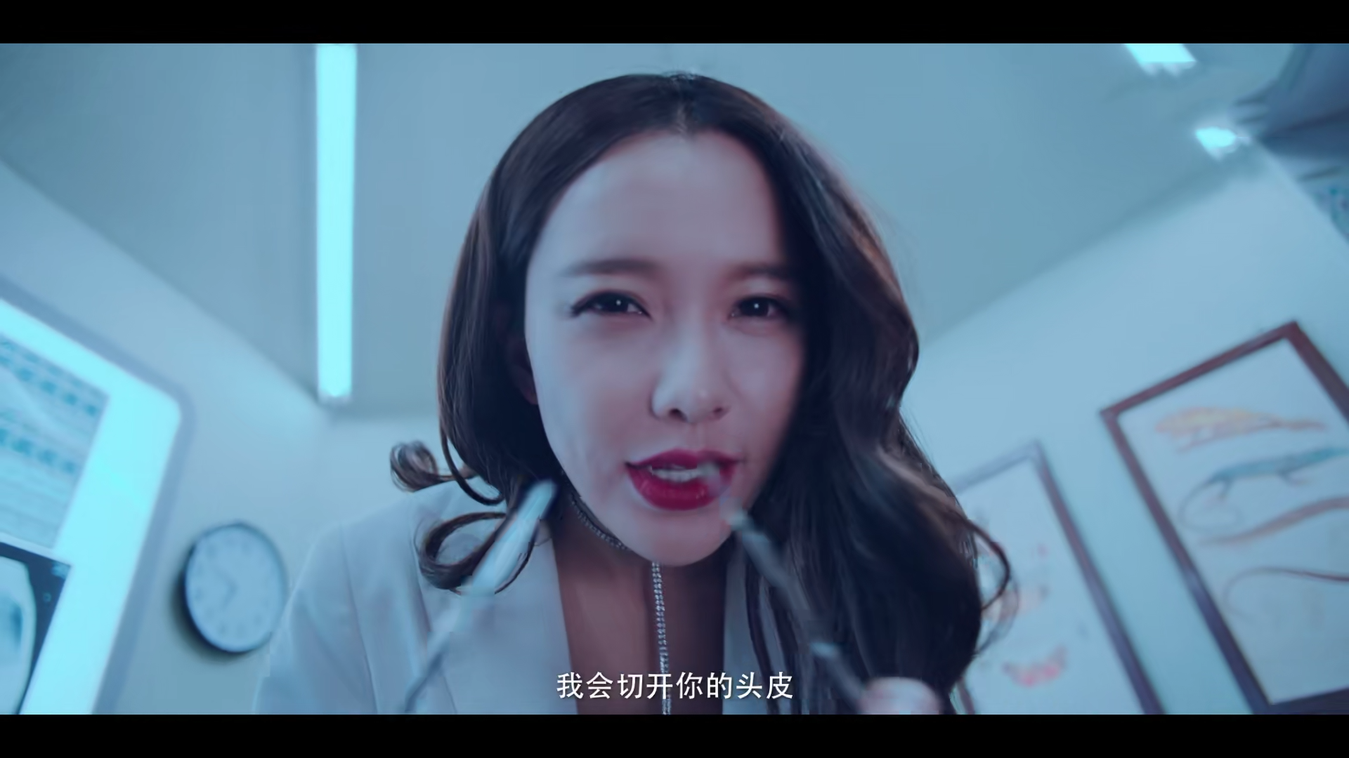 动物管理局看惯了风花雪月的爱情是否要解锁一下人妖激情恋