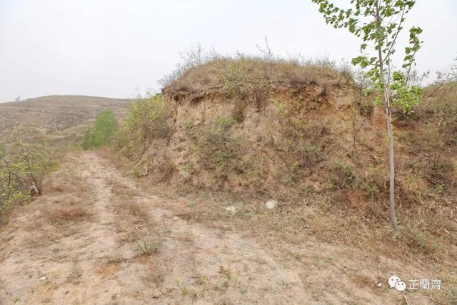 距离向断崖上张望,感觉上面还有一个大土包,也许卢照邻墓就在断崖之上