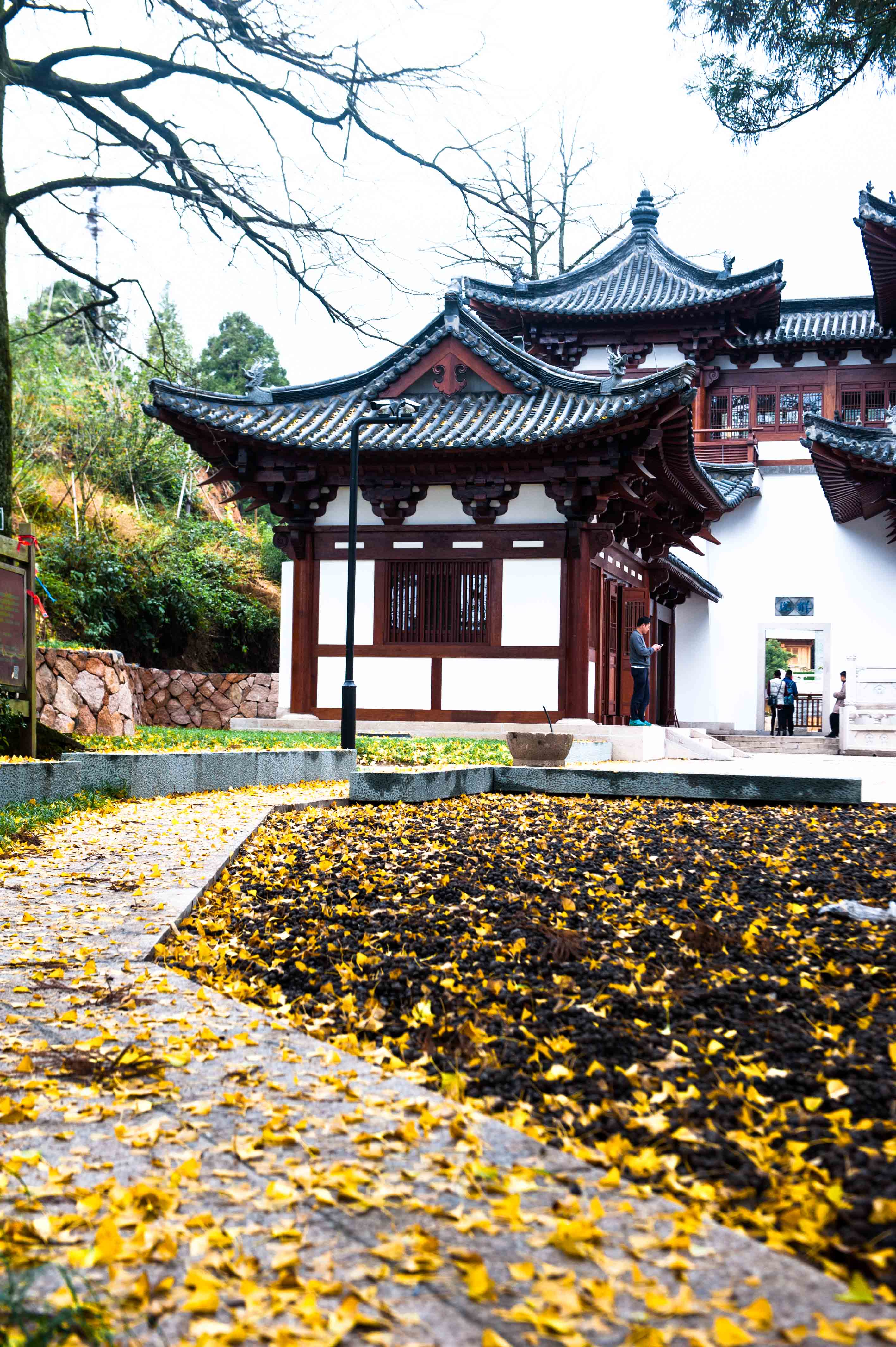 江南最厉害的禅院,连日本人的茶道都是起源于此,爱茶者必来