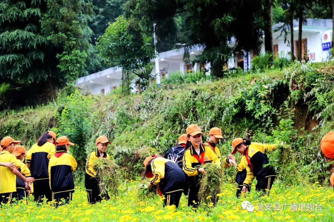 体验科学·快乐成长 瓮安八小开展青少年调查体验活动